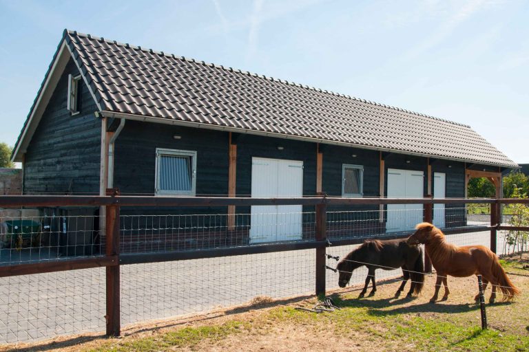 Houten schuur met carport