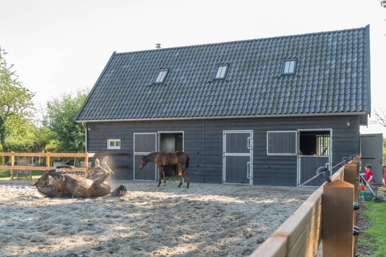 Laat uw dieren tot rust komen in een prachtige stal