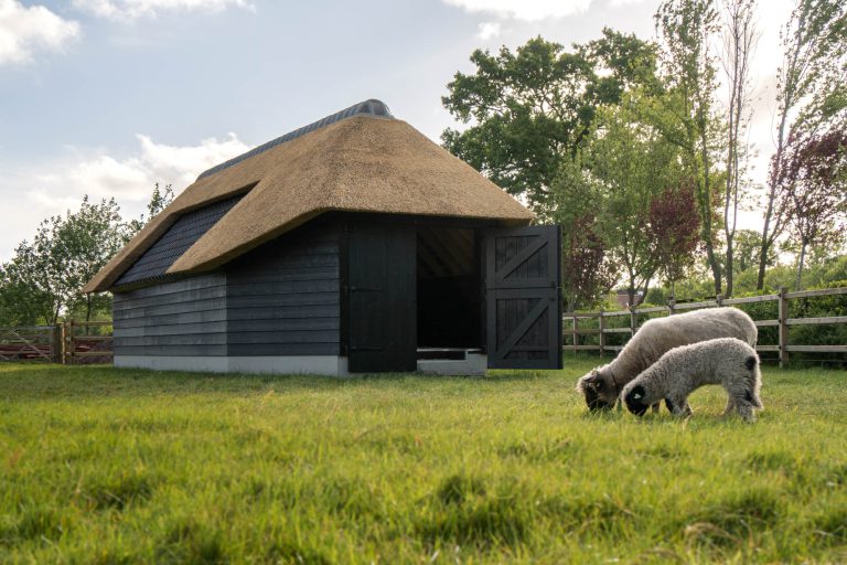 Houten stal, zowel mooi als functioneel!