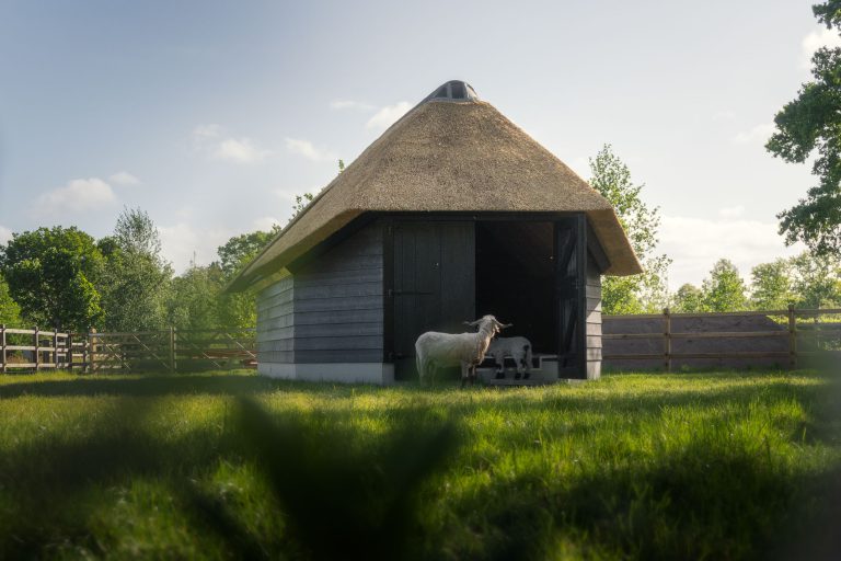 Houten stal kopen en monteren bij Geldersche Houtbouw