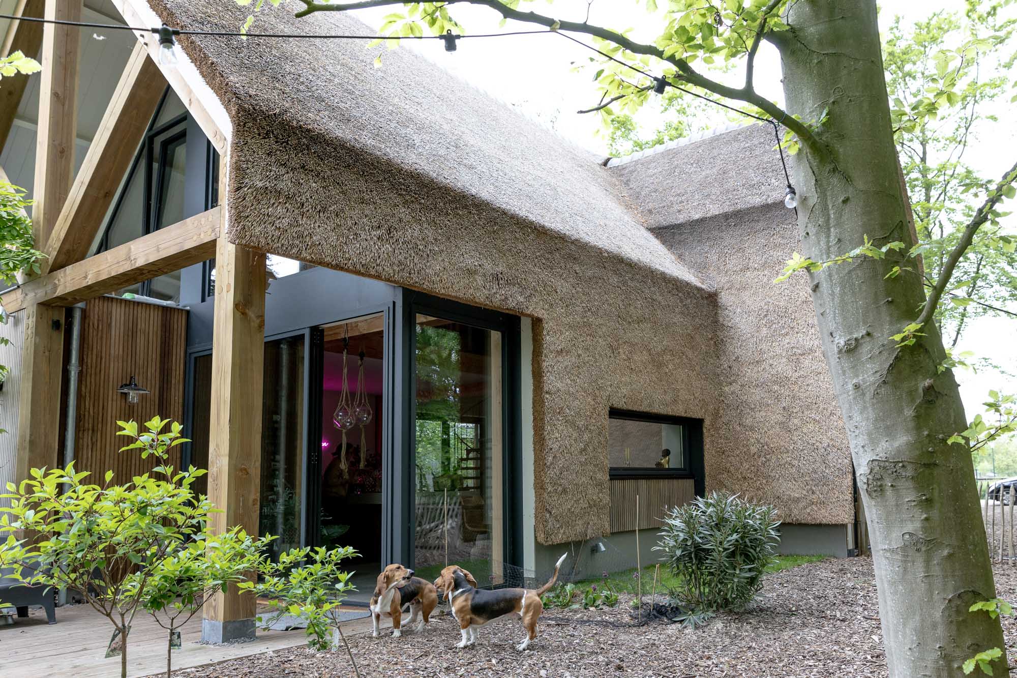afbeeldingWoning Heerenveen