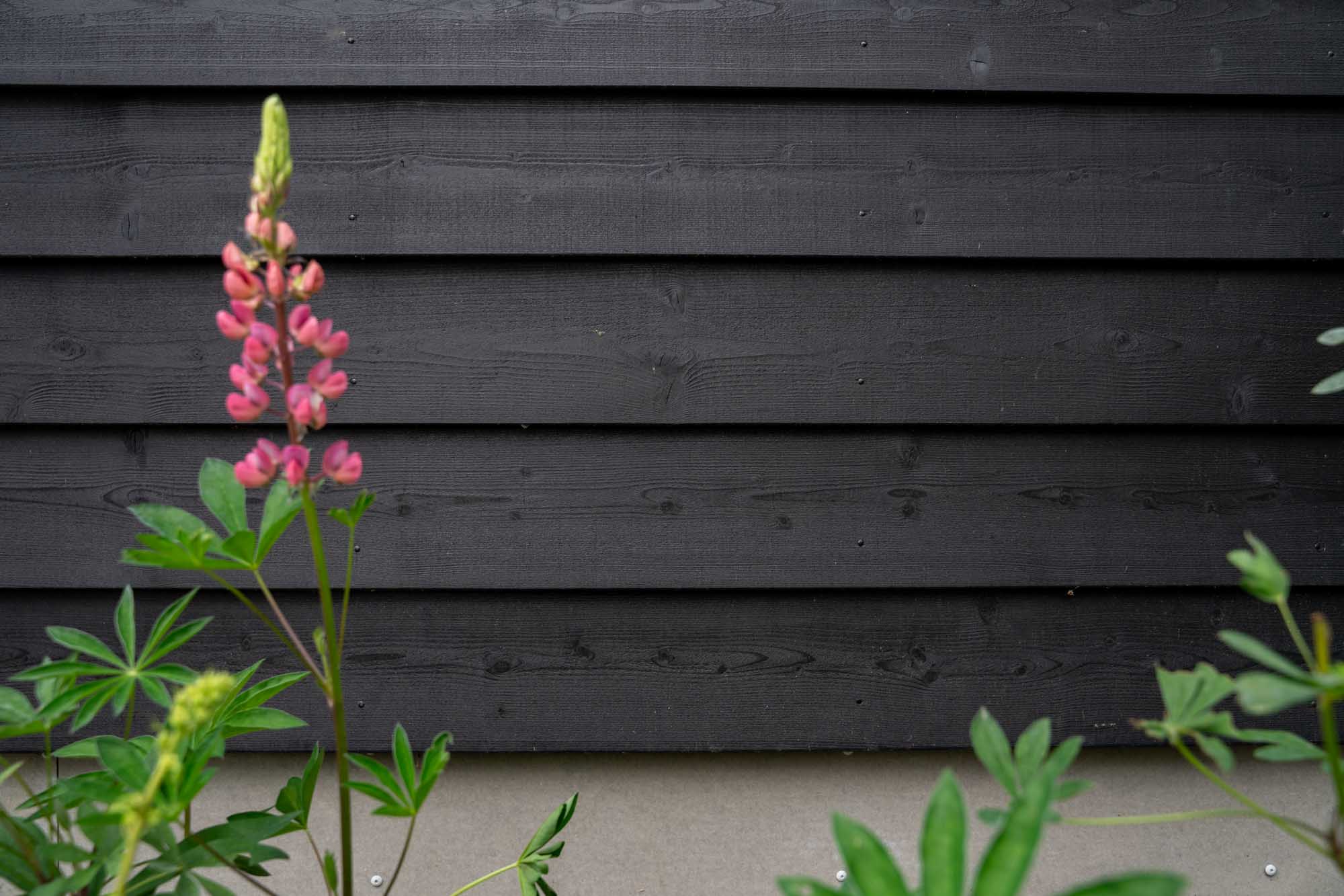 afbeeldingMantelzorgwoning Berlicum